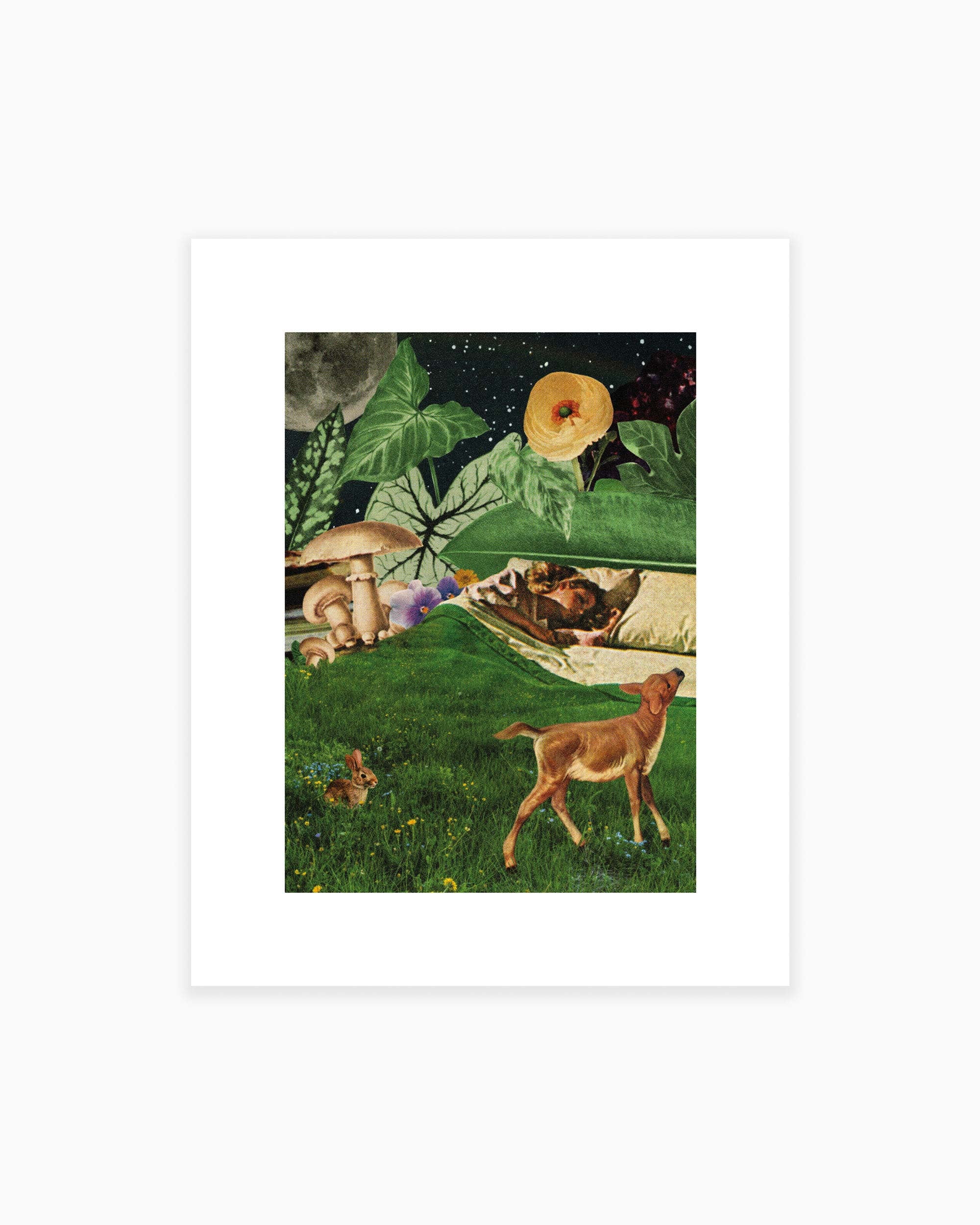 Blanket of Grass Art Print