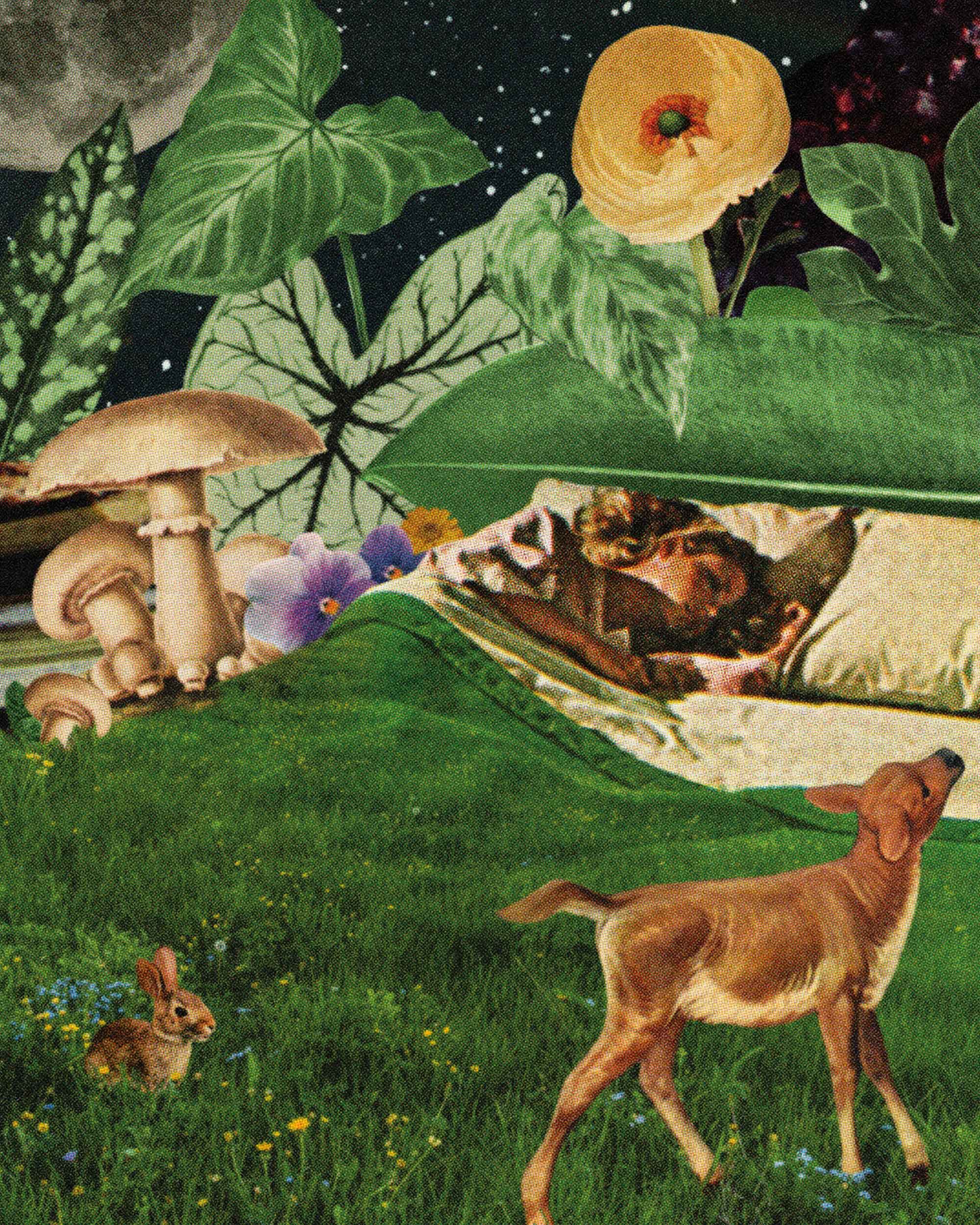 Blanket of Grass Art Print