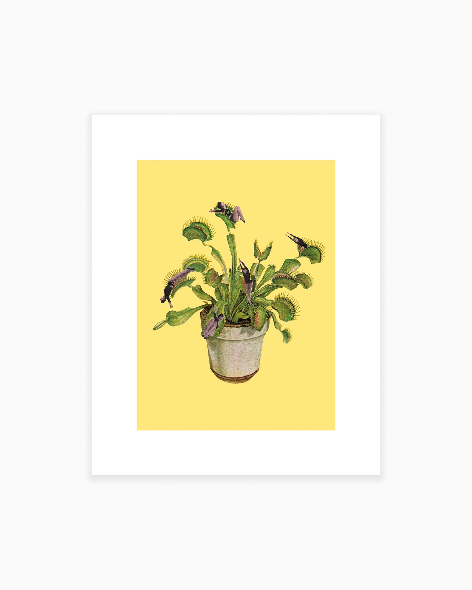 Venus Flytrap Art Print