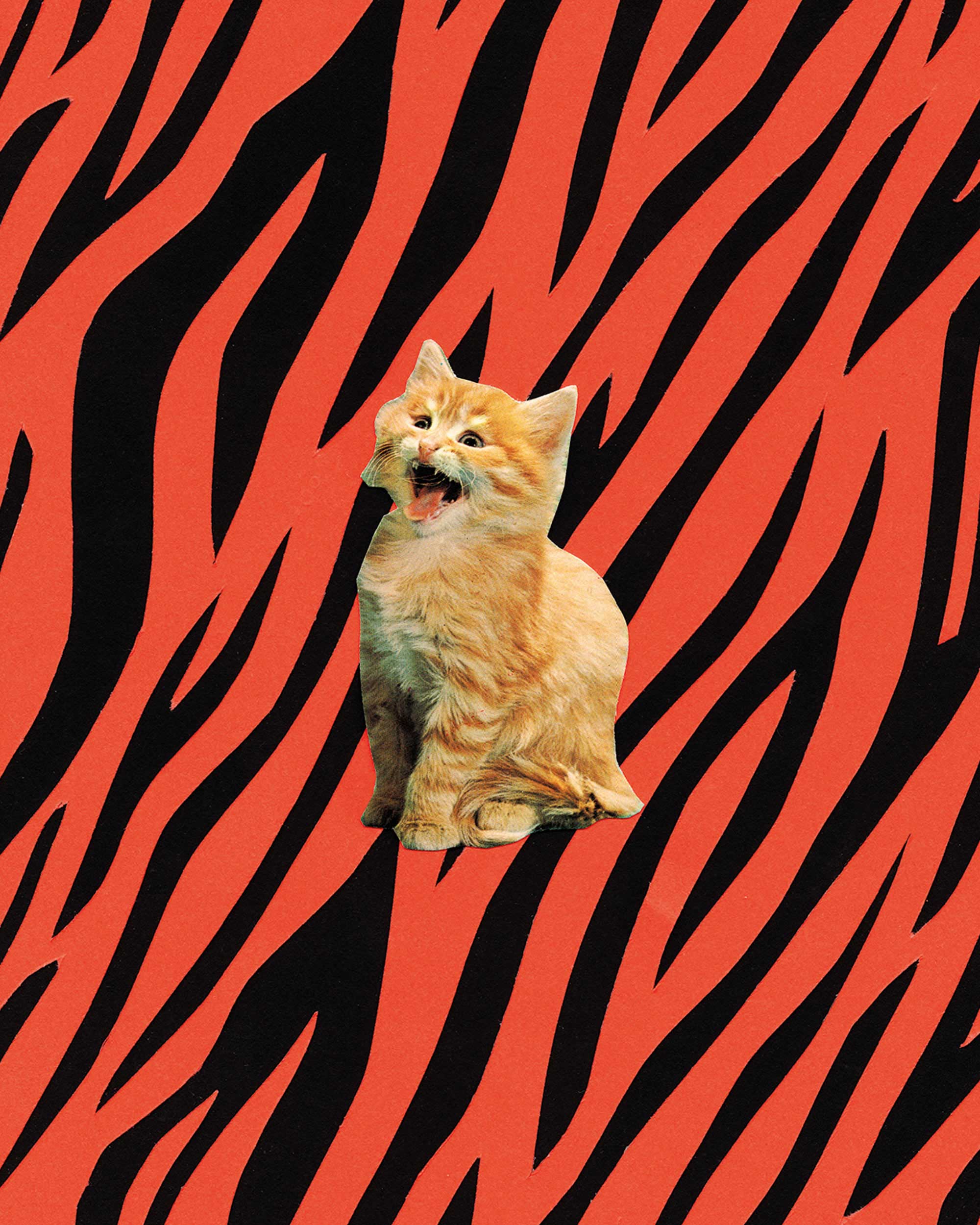 Tiger Art Print
