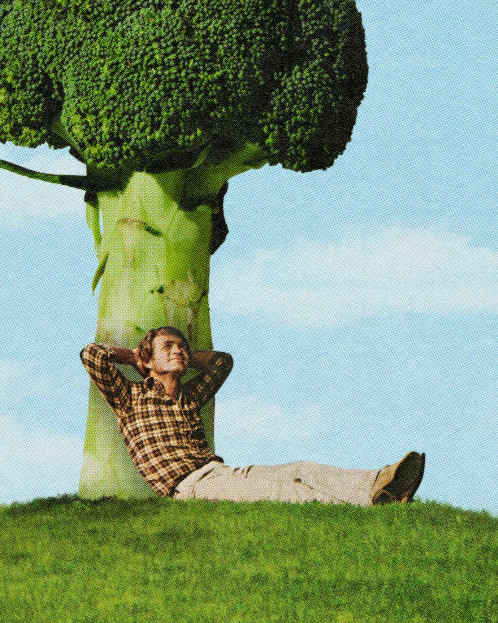 Broccoli Tree Art Print