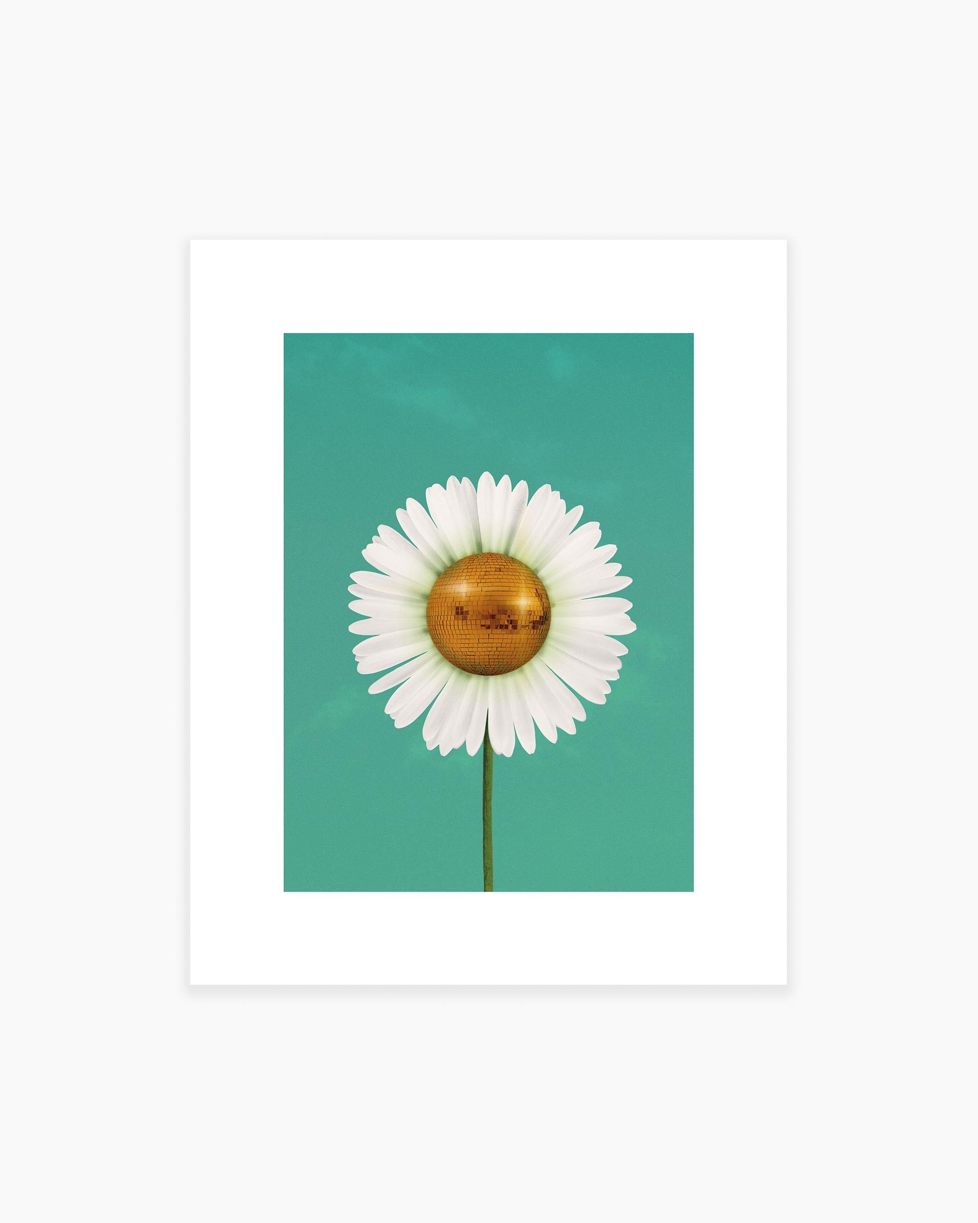 Daisy Disco Art Print