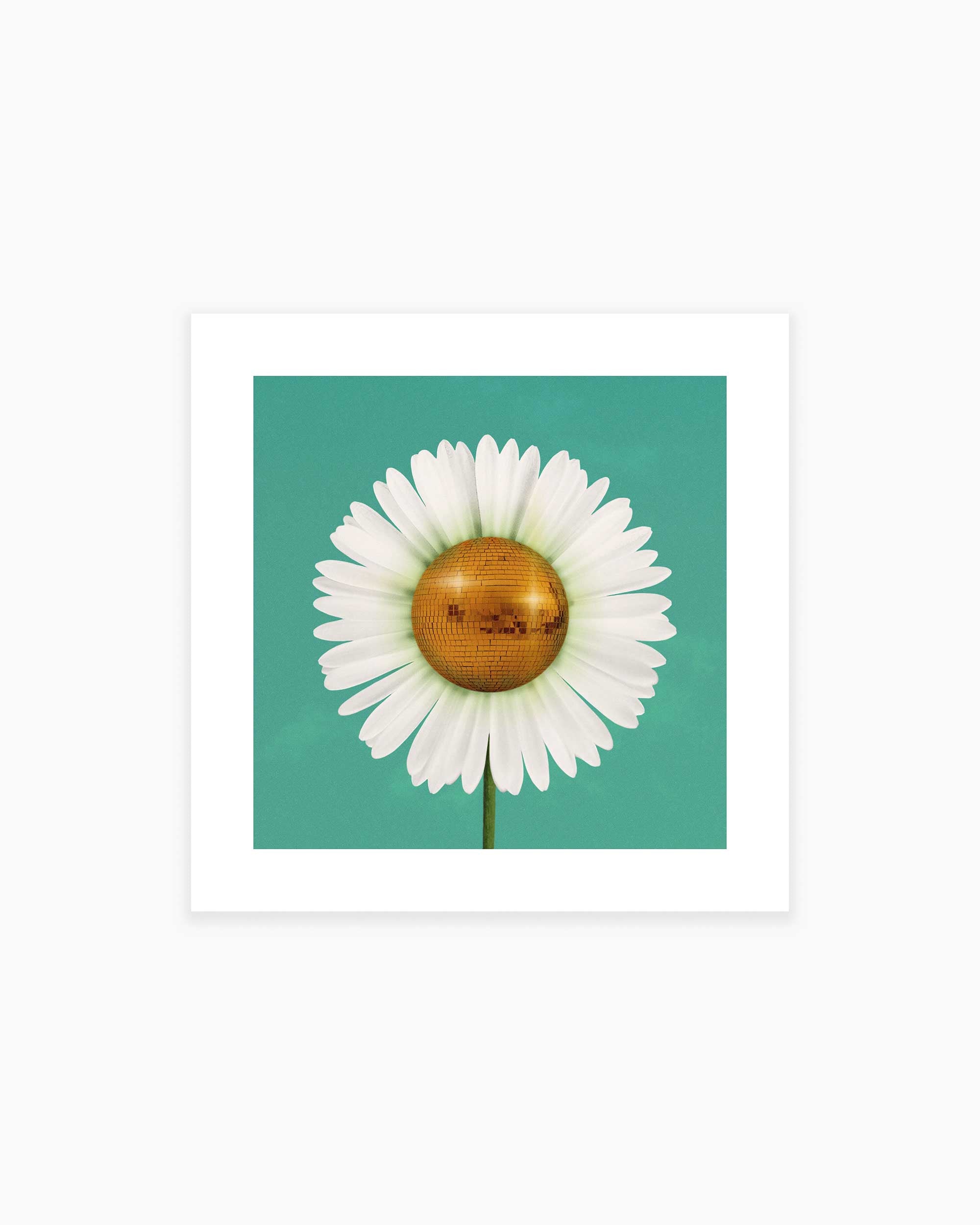 Daisy Disco Art Print