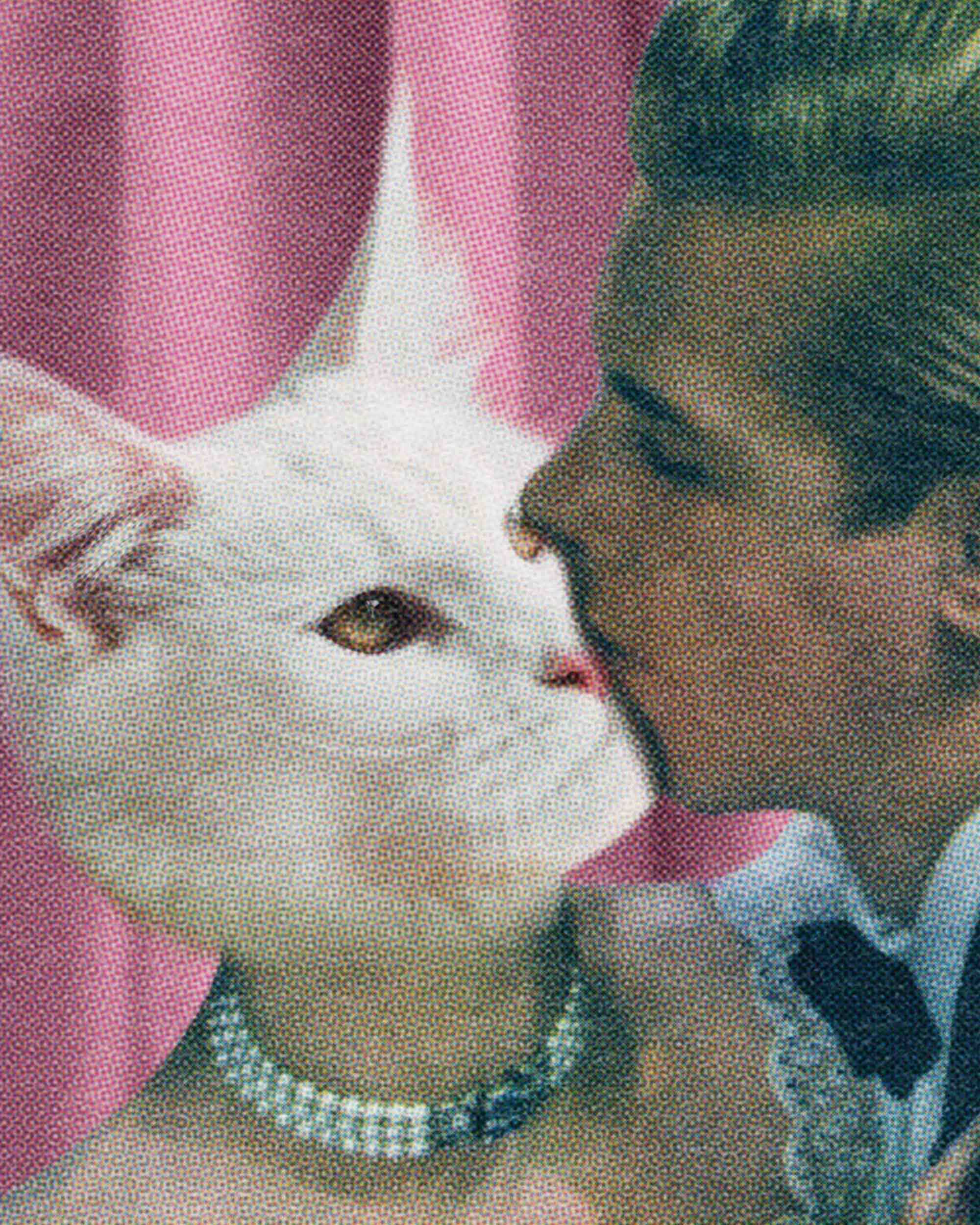 Purr-fect Love Art Print