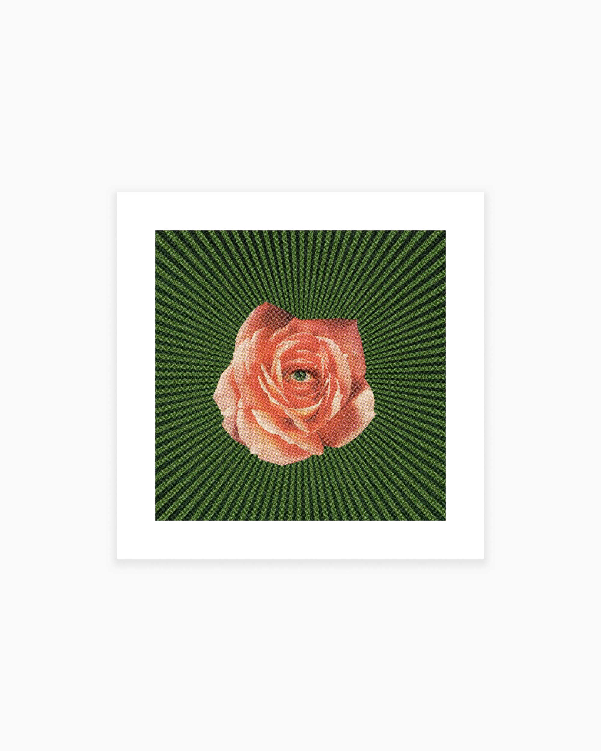 Rose Eye Art Print