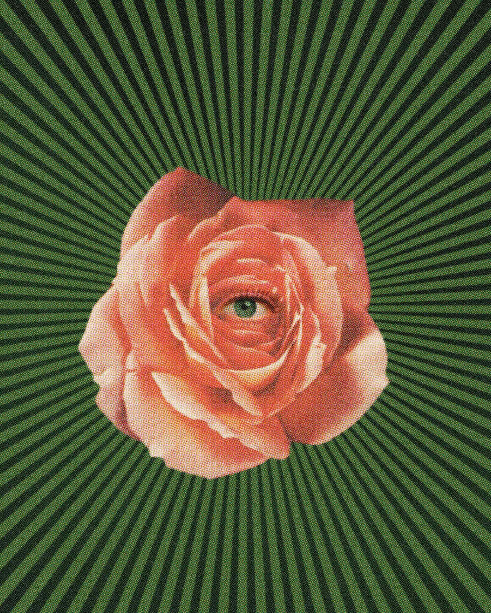 Rose Eye Art Print