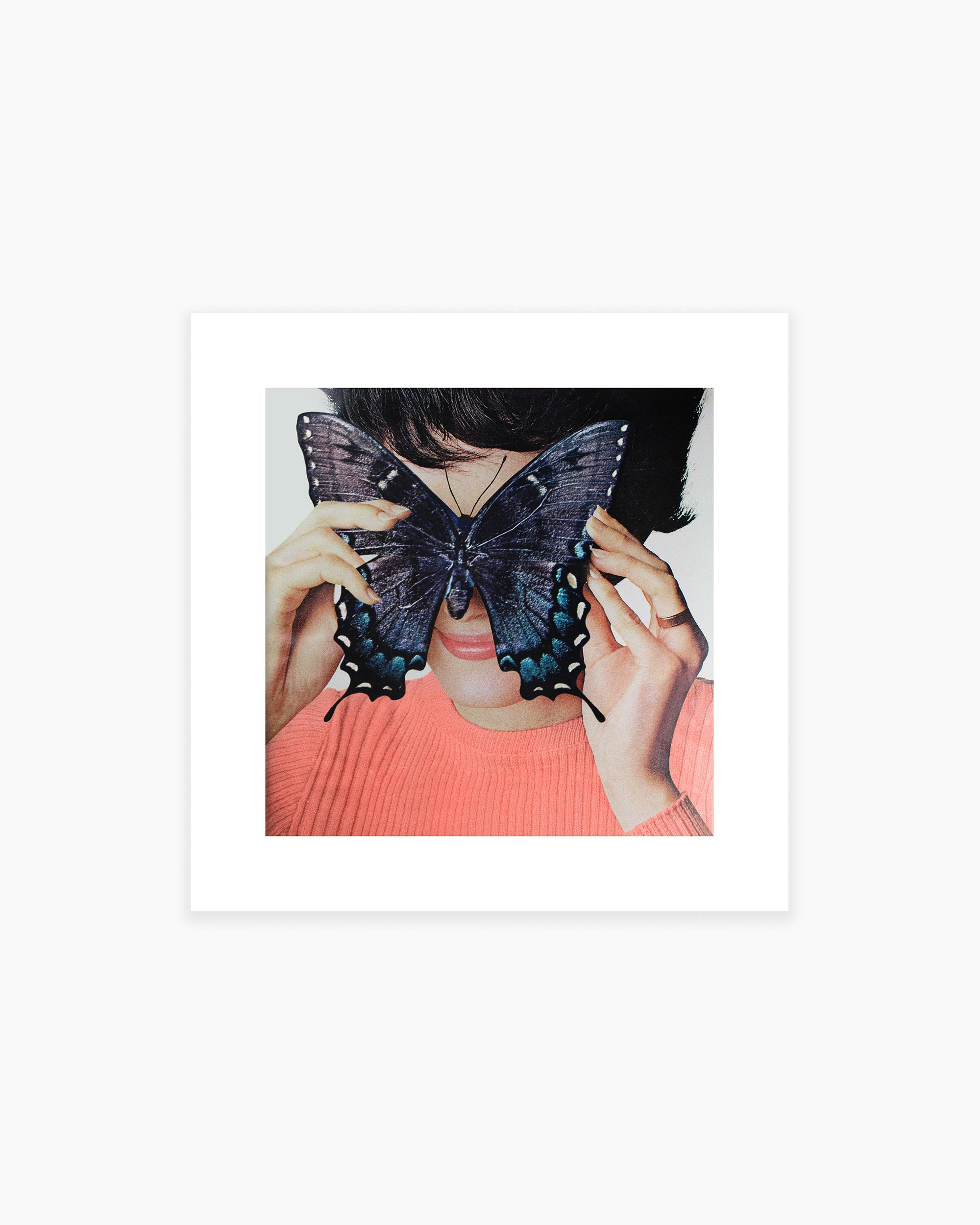 Morpho Butterfly Art Print