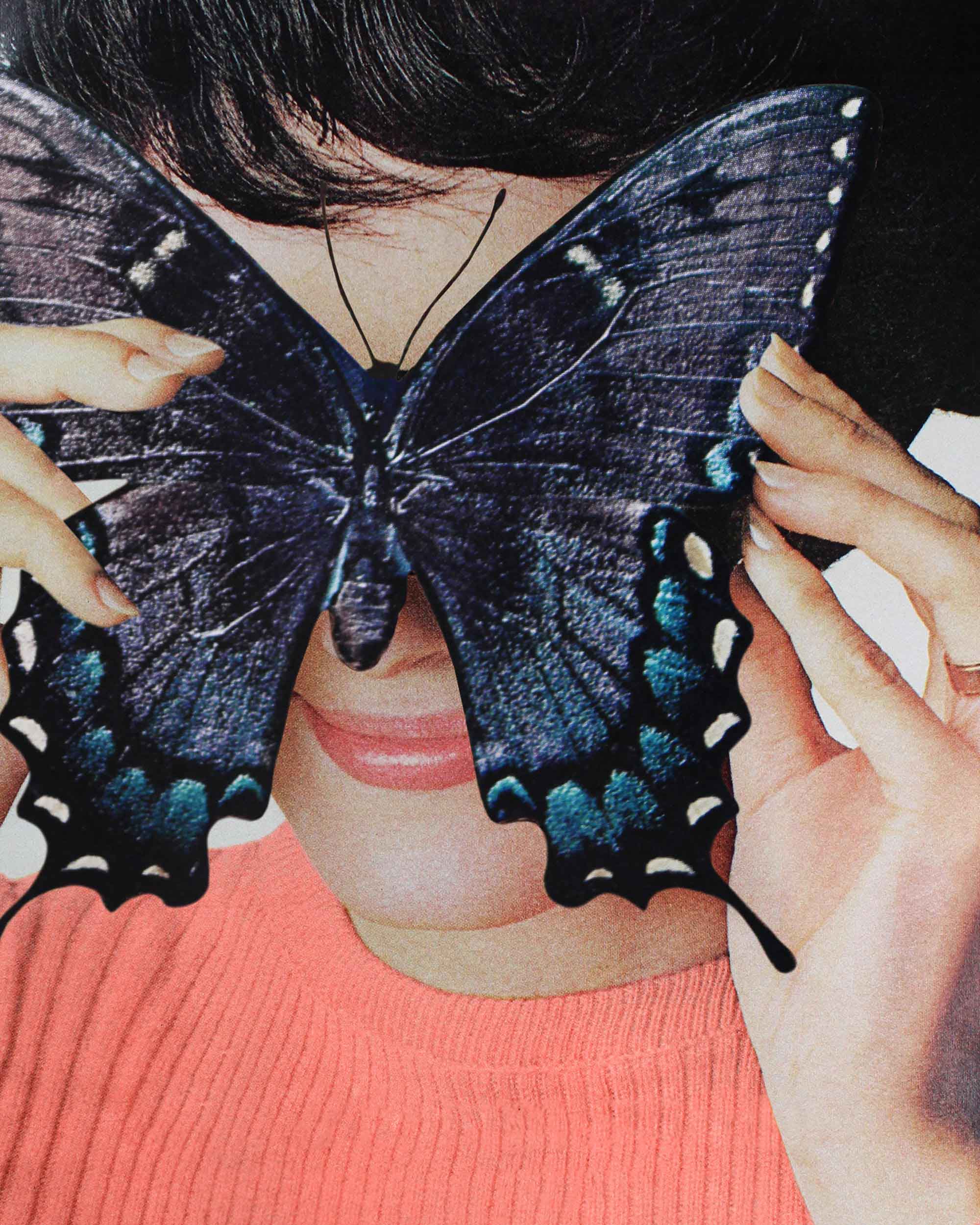 Morpho Butterfly Art Print