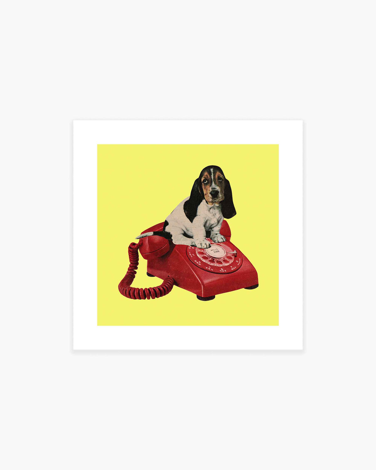 Good Listener Art Print