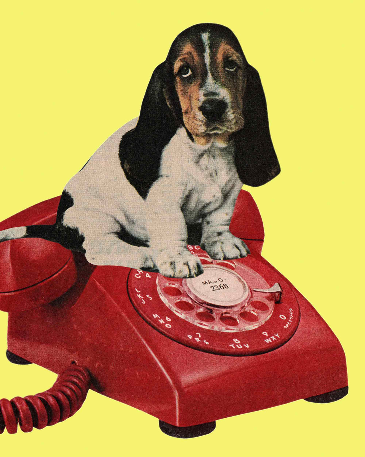 Good Listener Art Print